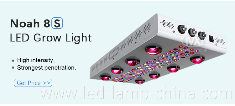 led plant lights